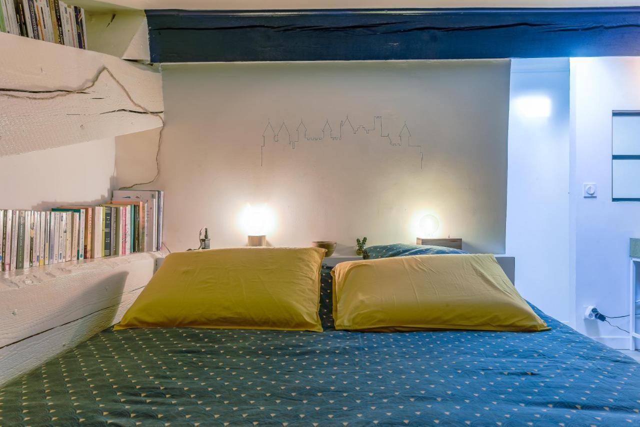 Romantique Duplex Au Pied De La Cite Каркассонн Екстер'єр фото